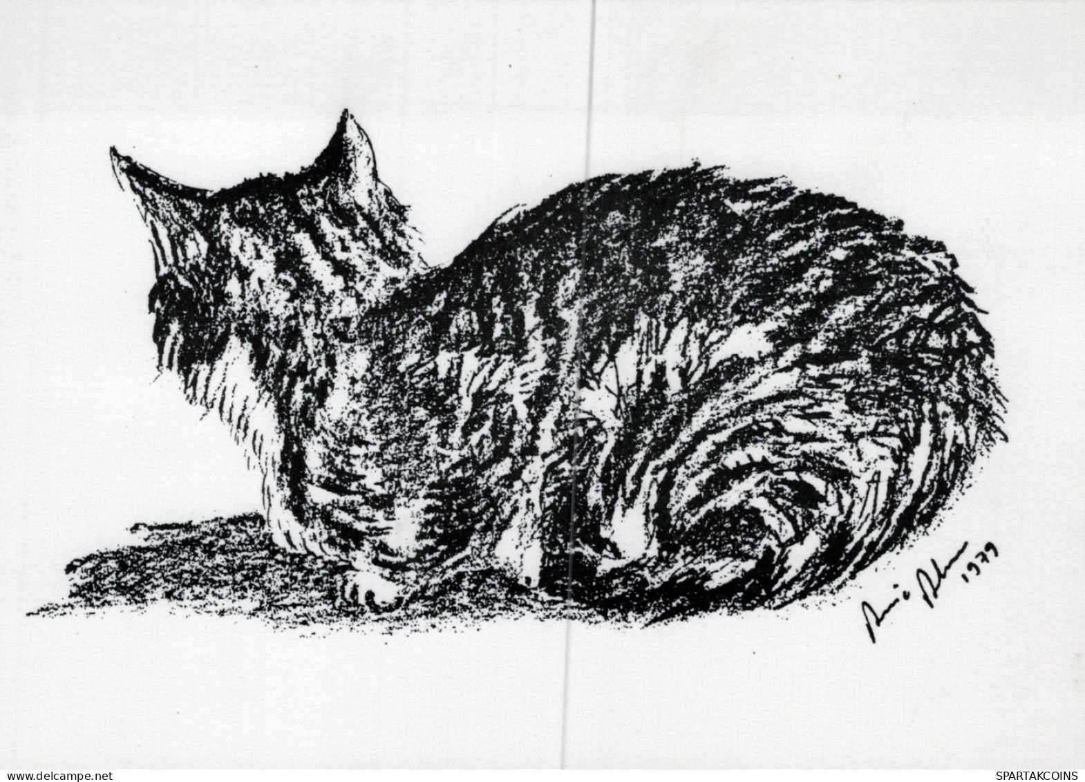 KATZE MIEZEKATZE Tier Vintage Ansichtskarte Postkarte CPSM Unposted #PAM347.DE - Cats