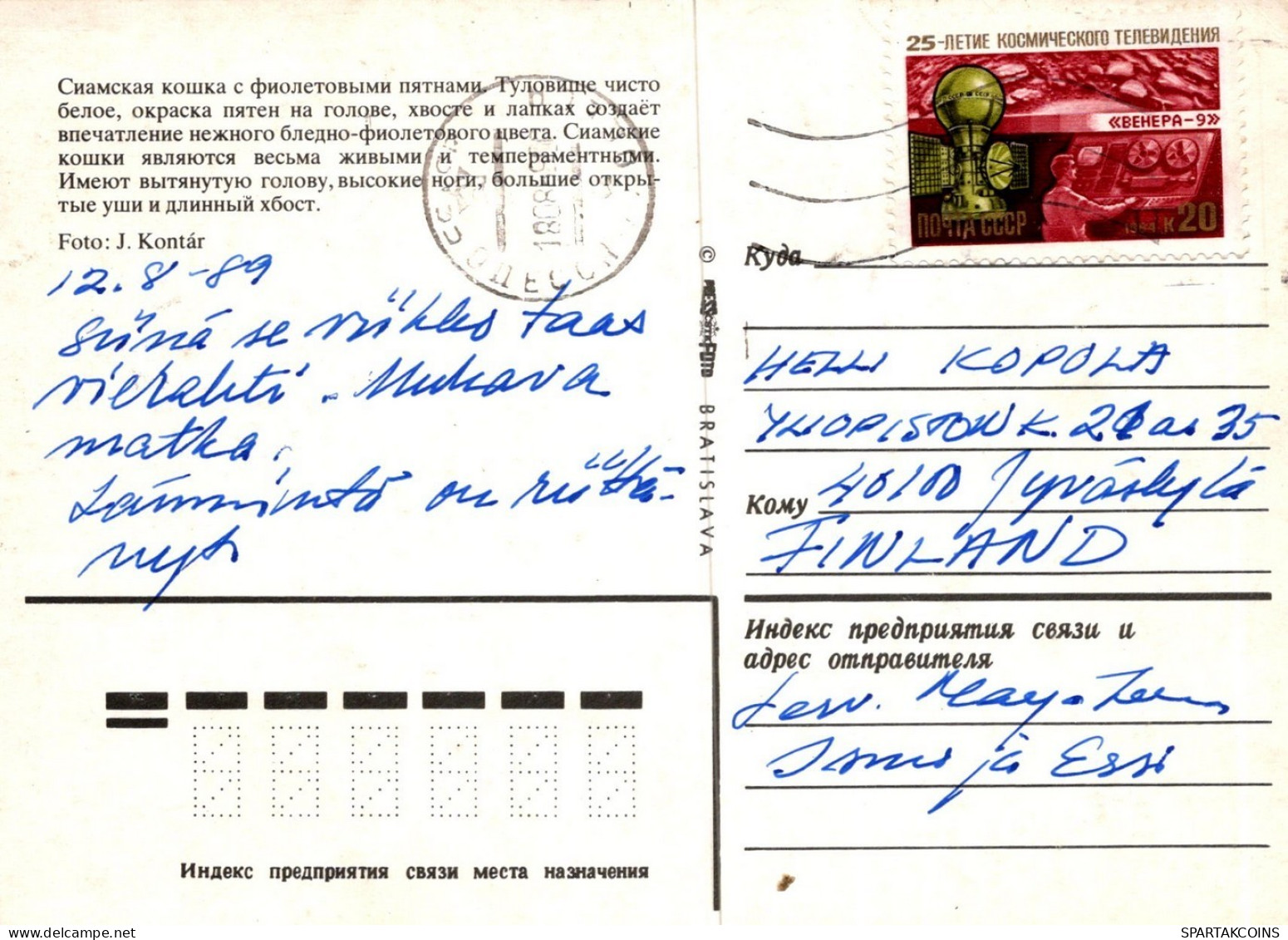 KATZE MIEZEKATZE Tier Vintage Ansichtskarte Postkarte CPSM #PAM099.DE - Chats