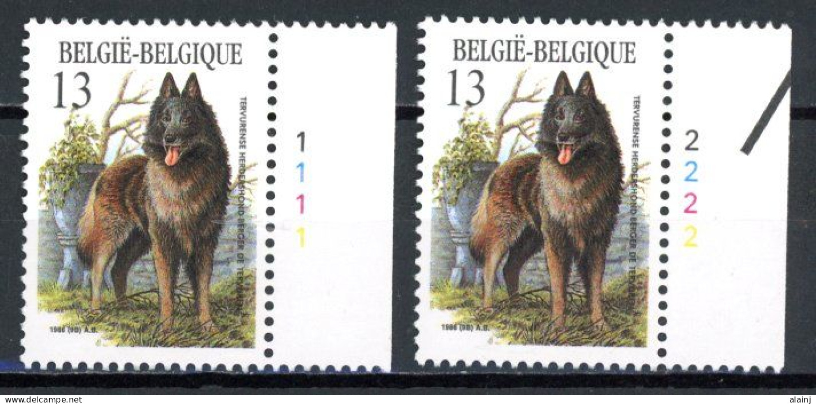 BE  2214  XX   ----   Races Canines Belges  --  N° De Planche 1 Et 2 - 1981-1990