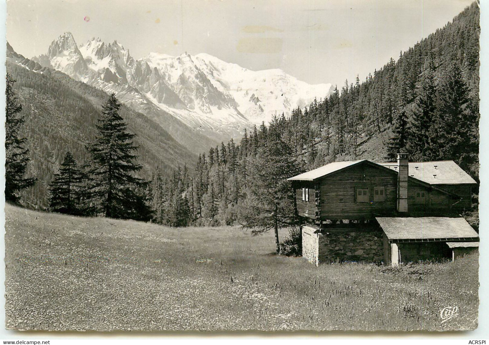 CHAMONIX  Le Massif Du Mont Blanc édition CAP  RR 1232 - Chamonix-Mont-Blanc