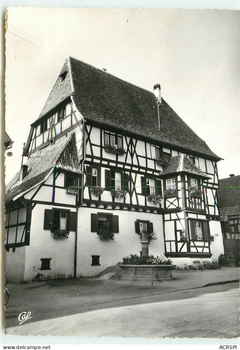 DAMBACH LA VILLE  Vieille Maison Alsacienne  RR 1229 - Dambach-la-ville