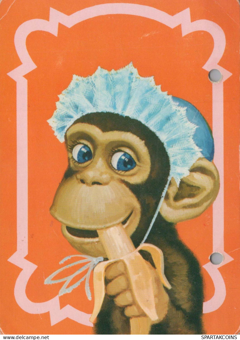 MONO Animales Vintage Tarjeta Postal CPSM #PBS008.ES - Singes