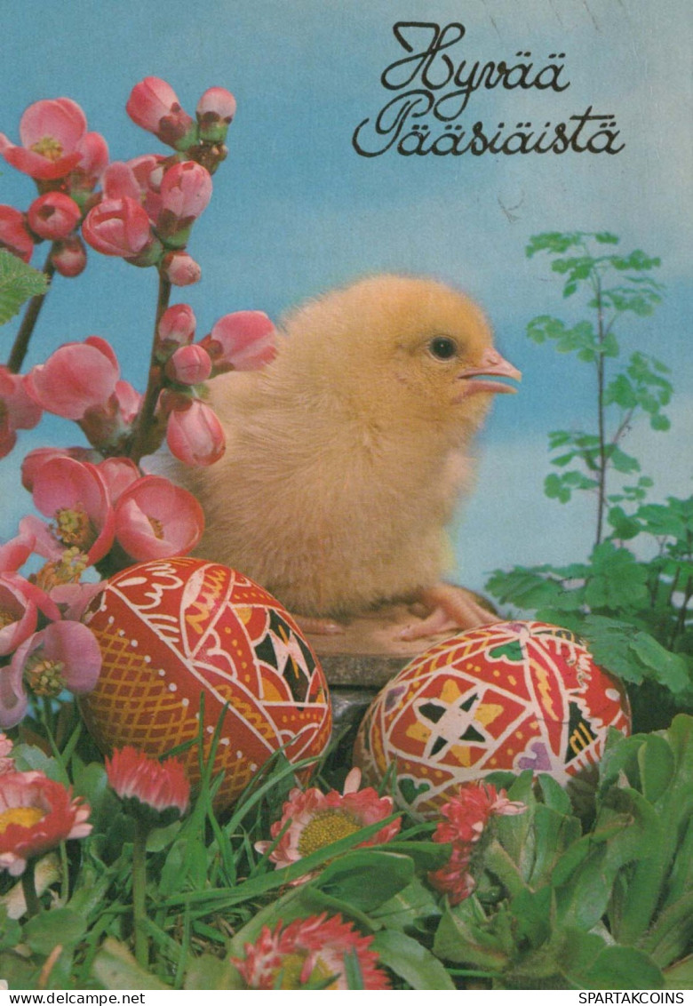 PASCUA POLLO HUEVO Vintage Tarjeta Postal CPSM #PBP154.ES - Pâques