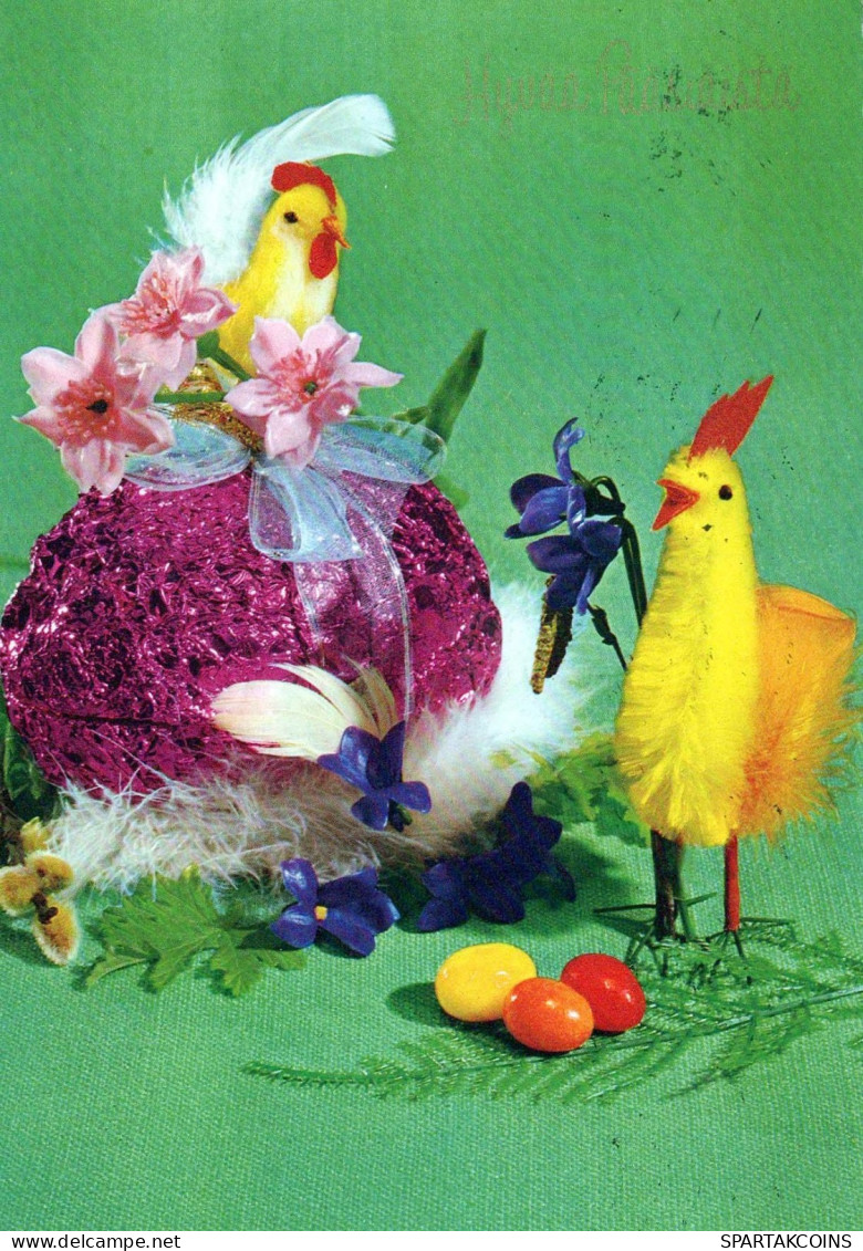 PASCUA POLLO HUEVO Vintage Tarjeta Postal CPSM #PBO713.ES - Easter