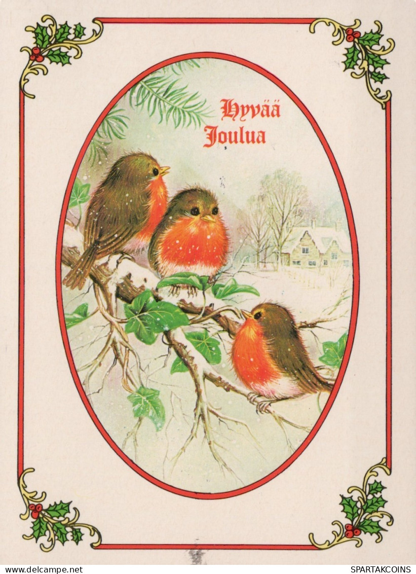 PÁJARO Animales Vintage Tarjeta Postal CPSM #PAM911.ES - Birds