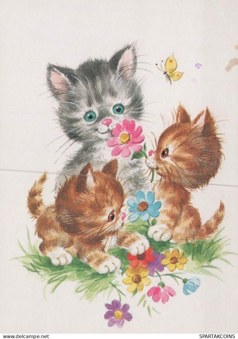 GATO GATITO Animales Vintage Tarjeta Postal CPSM #PAM281.ES - Gatos