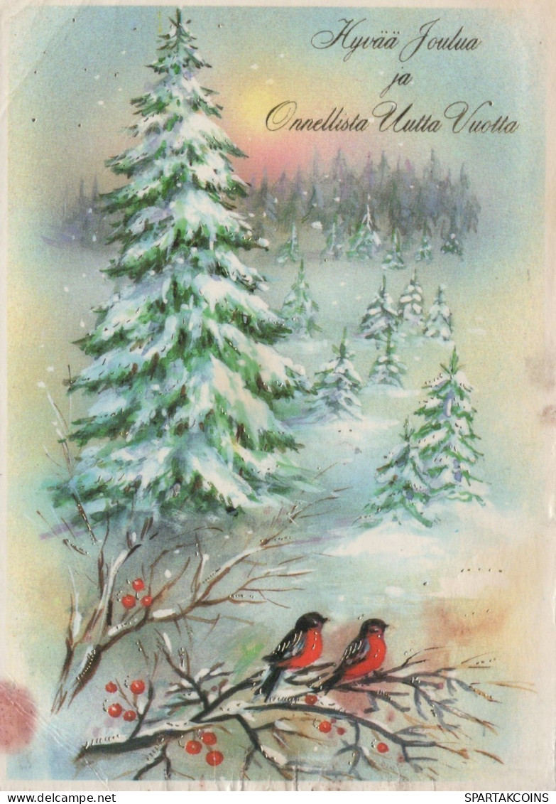 PÁJARO Animales Vintage Tarjeta Postal CPSM #PAM974.ES - Oiseaux