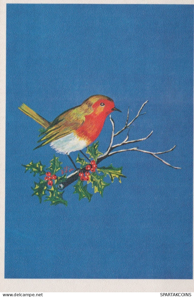 PÁJARO Animales Vintage Tarjeta Postal CPSM #PAM662.ES - Birds