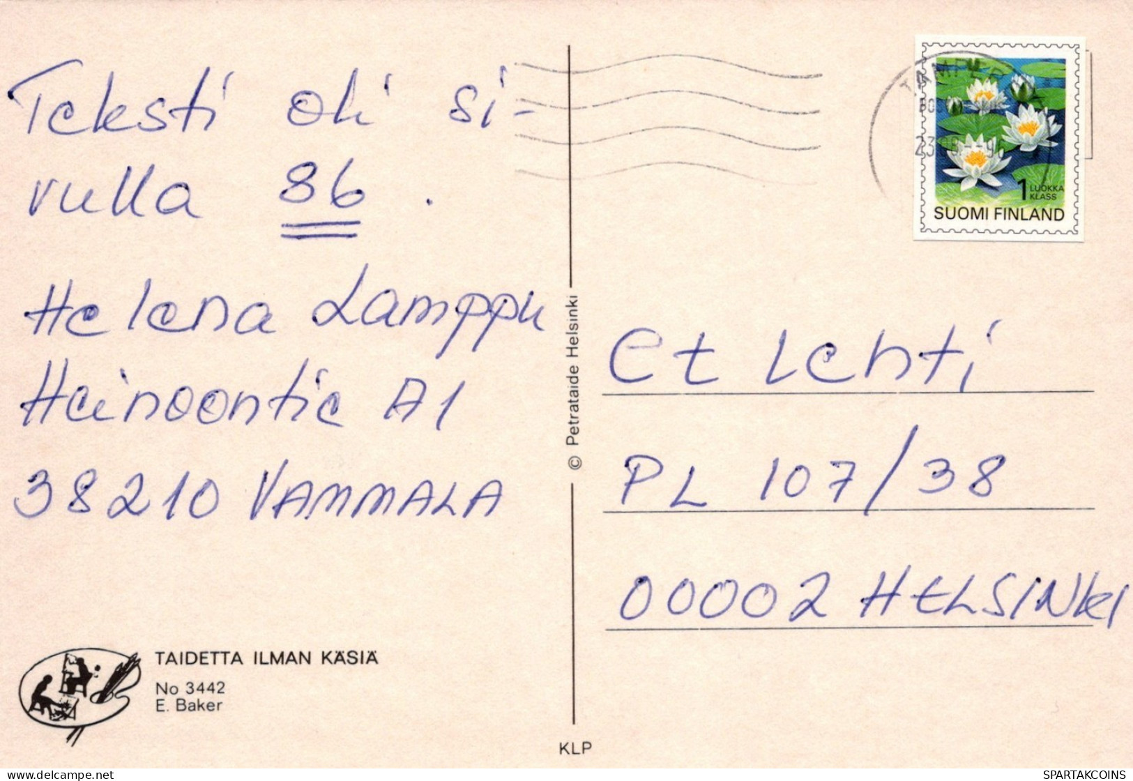 PÁJARO Animales Vintage Tarjeta Postal CPSM #PAM662.ES - Oiseaux