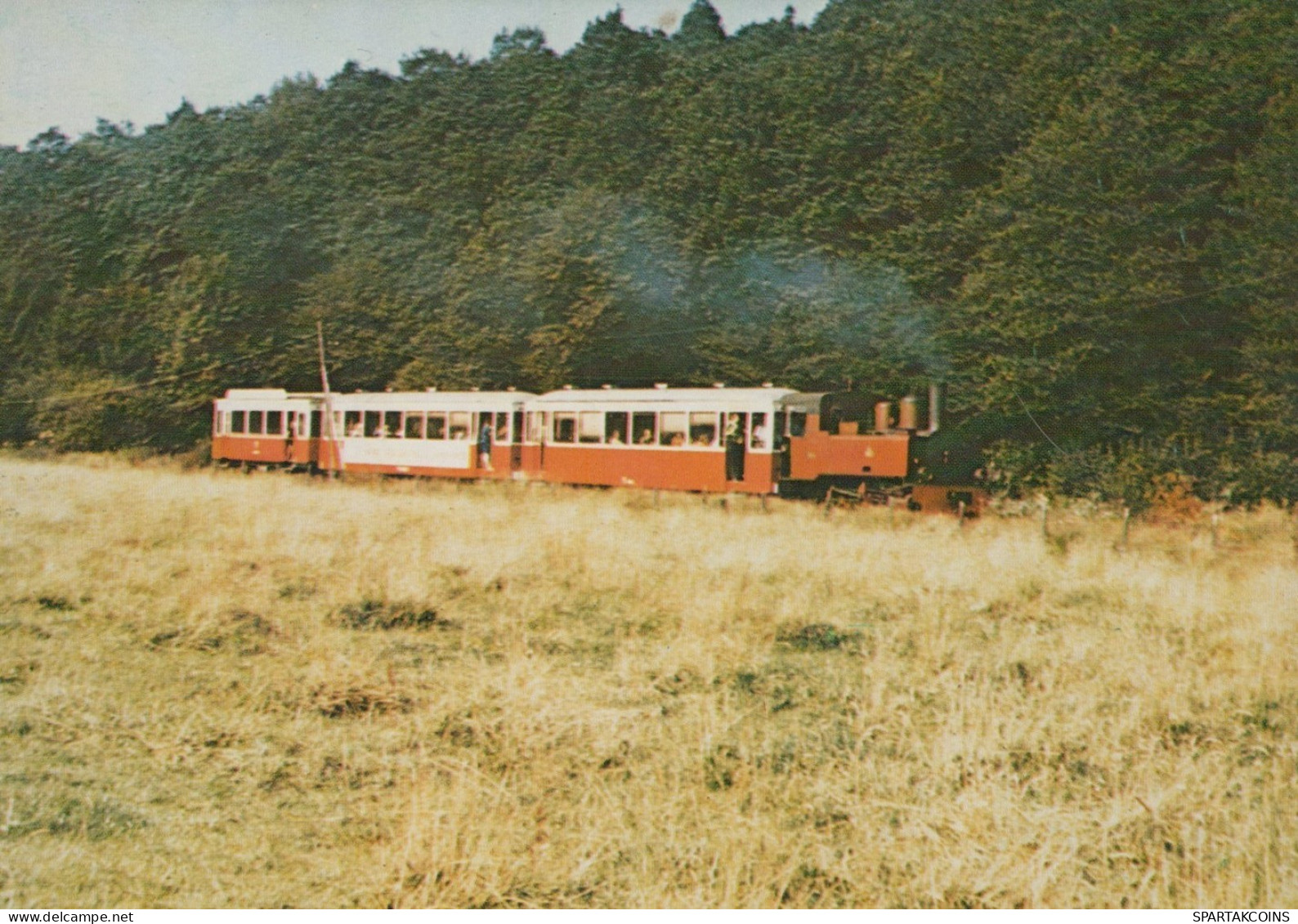 TREN TRANSPORTE Ferroviario Vintage Tarjeta Postal CPSM #PAA796.ES - Trains