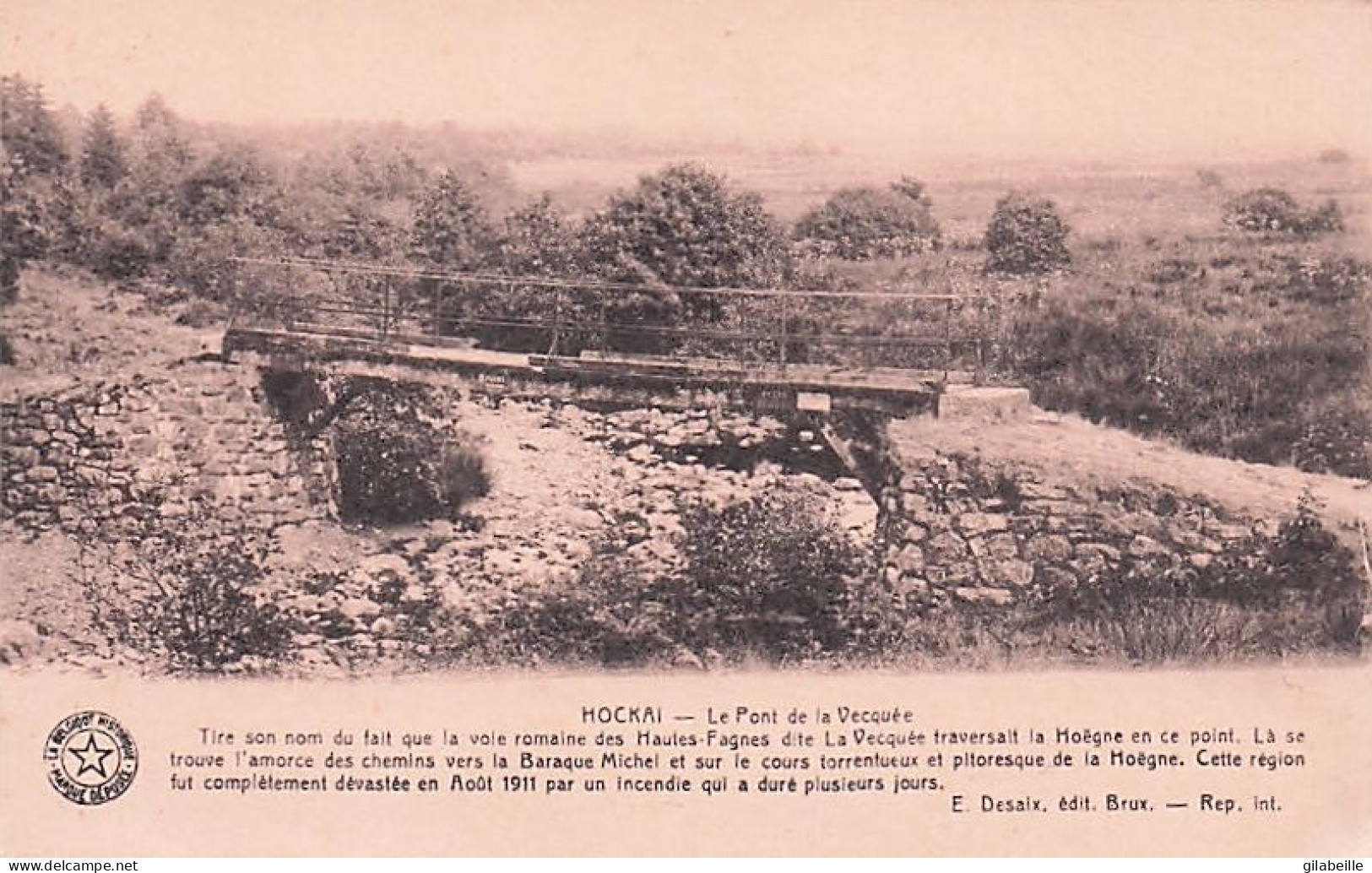 Stavelot - HOCKAI - Le Pont De La Vecquée - Stavelot