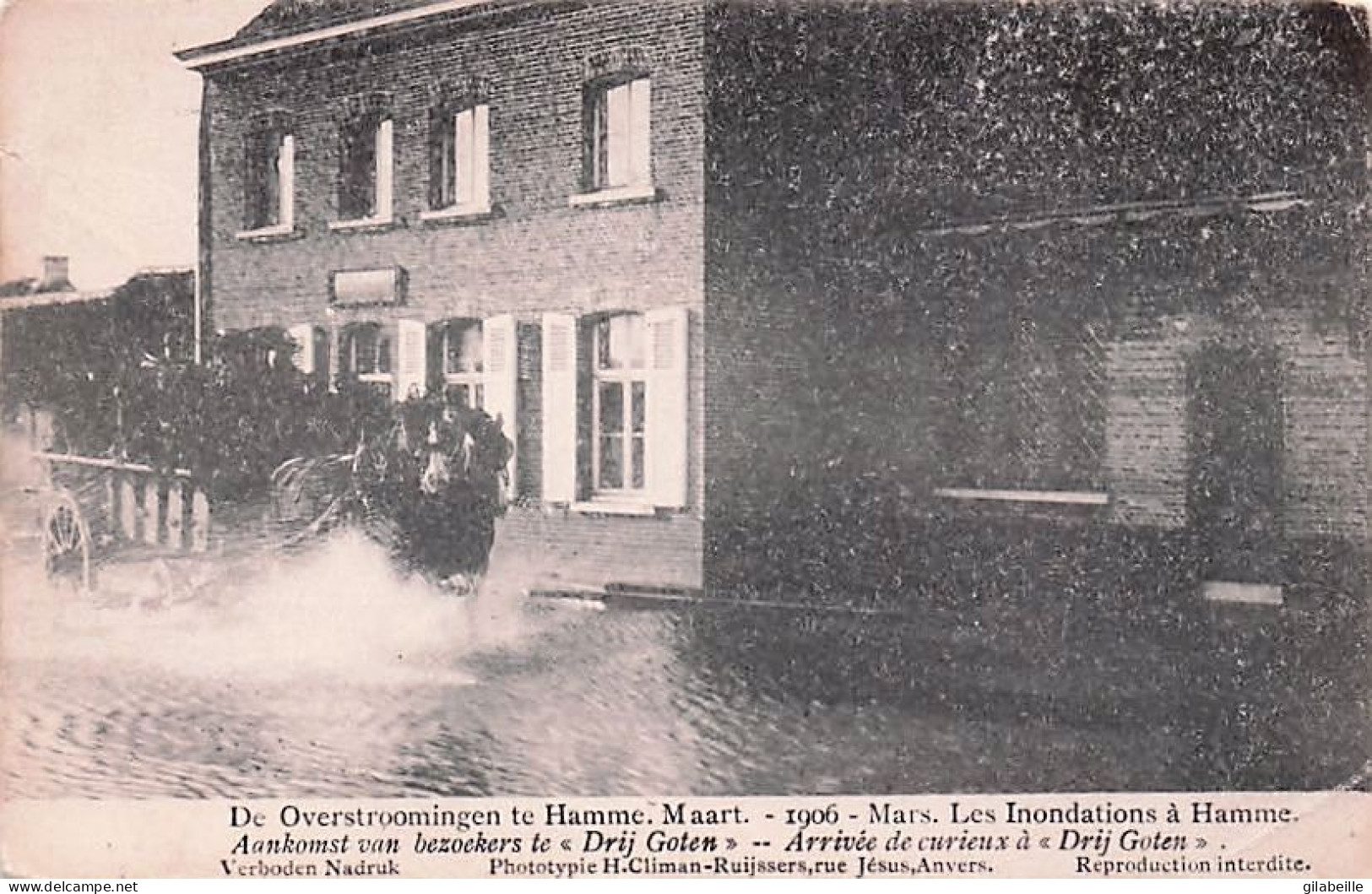 HAM - HAMME -  Les Inondations A Hamme - Maart 1906 - Arrivée De Curieux A " Drij Goten " - Hamme