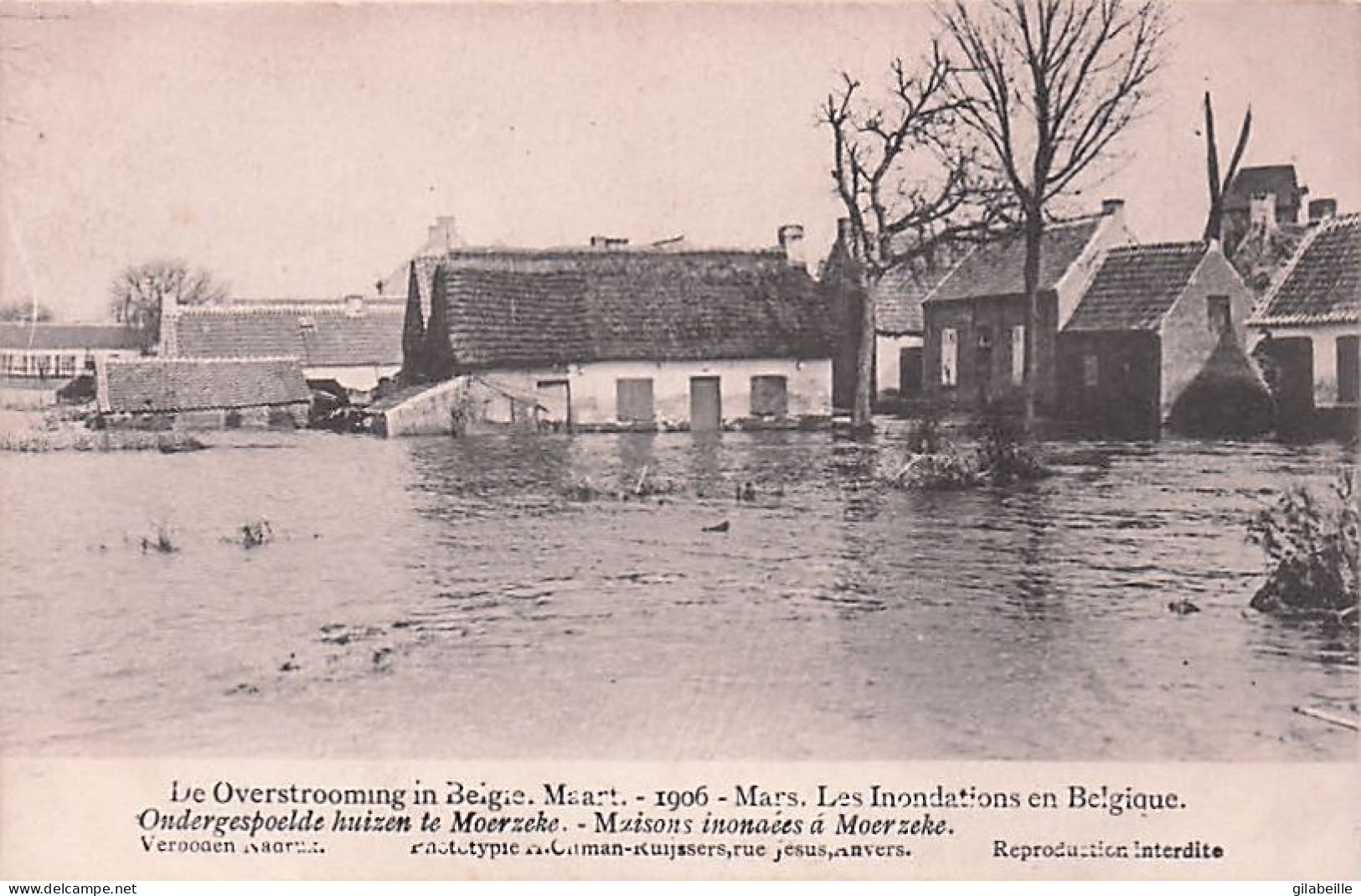 MOERZEKE -- Overstroomingen Van Maart 1906 - Inondations De Mars 1906 - Maisons Inondées - Hamme