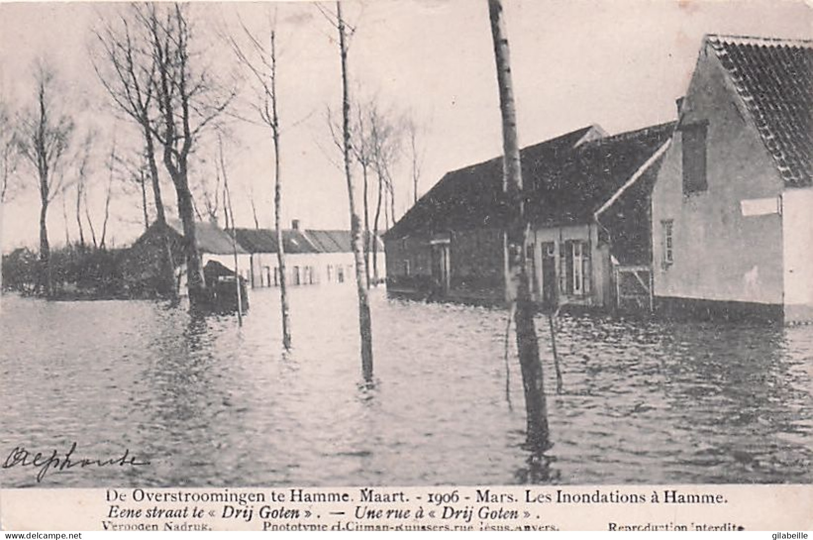 HAMME - Overstroomingen Van Maart 1906 - Inondations De Mars 1906 - Une Rue A Drij Goten - Hamme