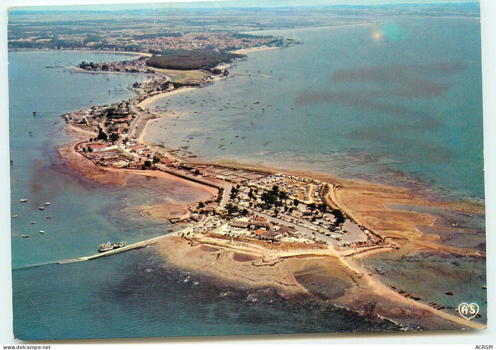 FOURAS   Pointe De La FUMEE Vue Générale  Vers Fouras édition Artaud Carte N°206 RR 1275 - Fouras-les-Bains