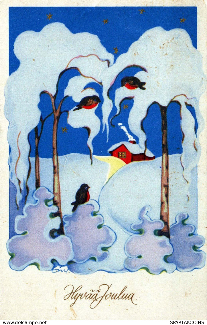 OISEAU Vintage Carte Postale CPSMPF #PKG962.FR - Birds