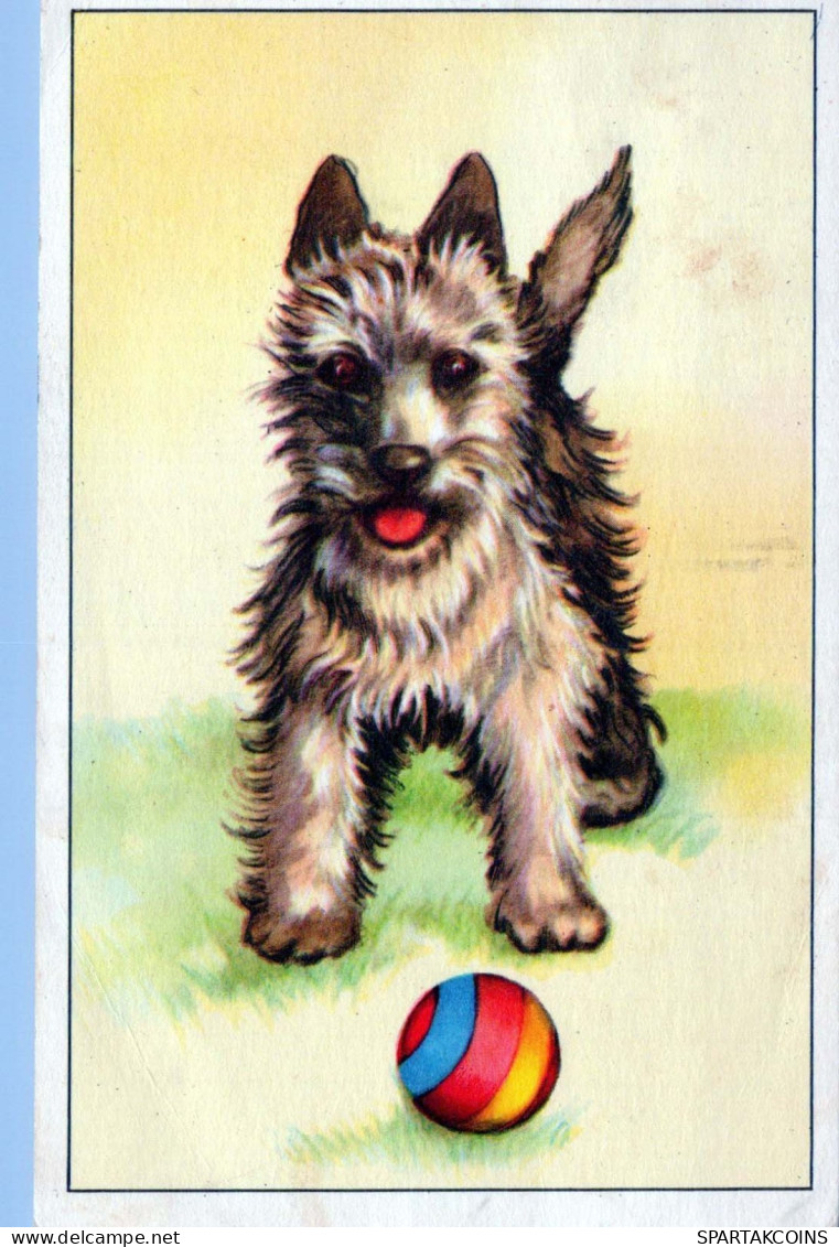 CHIEN Animaux Vintage Carte Postale CPA #PKE788.FR - Hunde