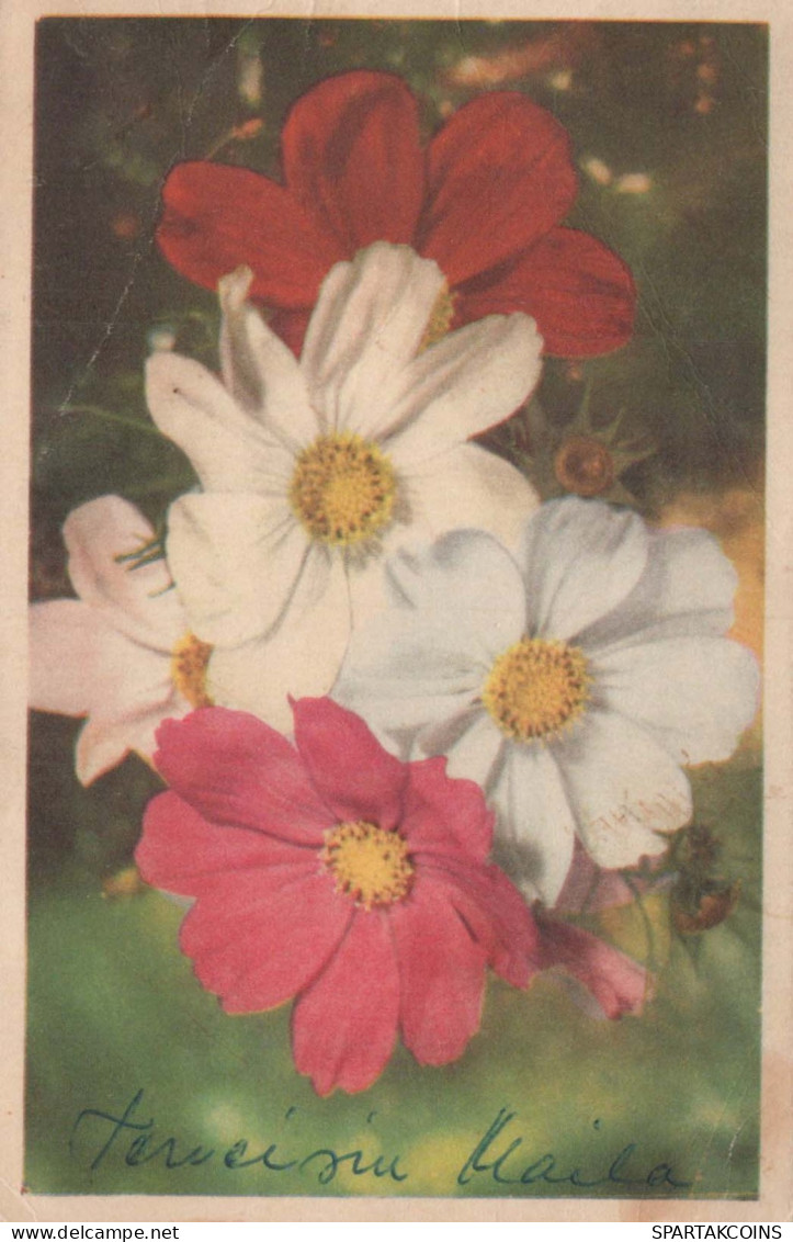 FLEURS Vintage Carte Postale CPA #PKE663.FR - Bloemen