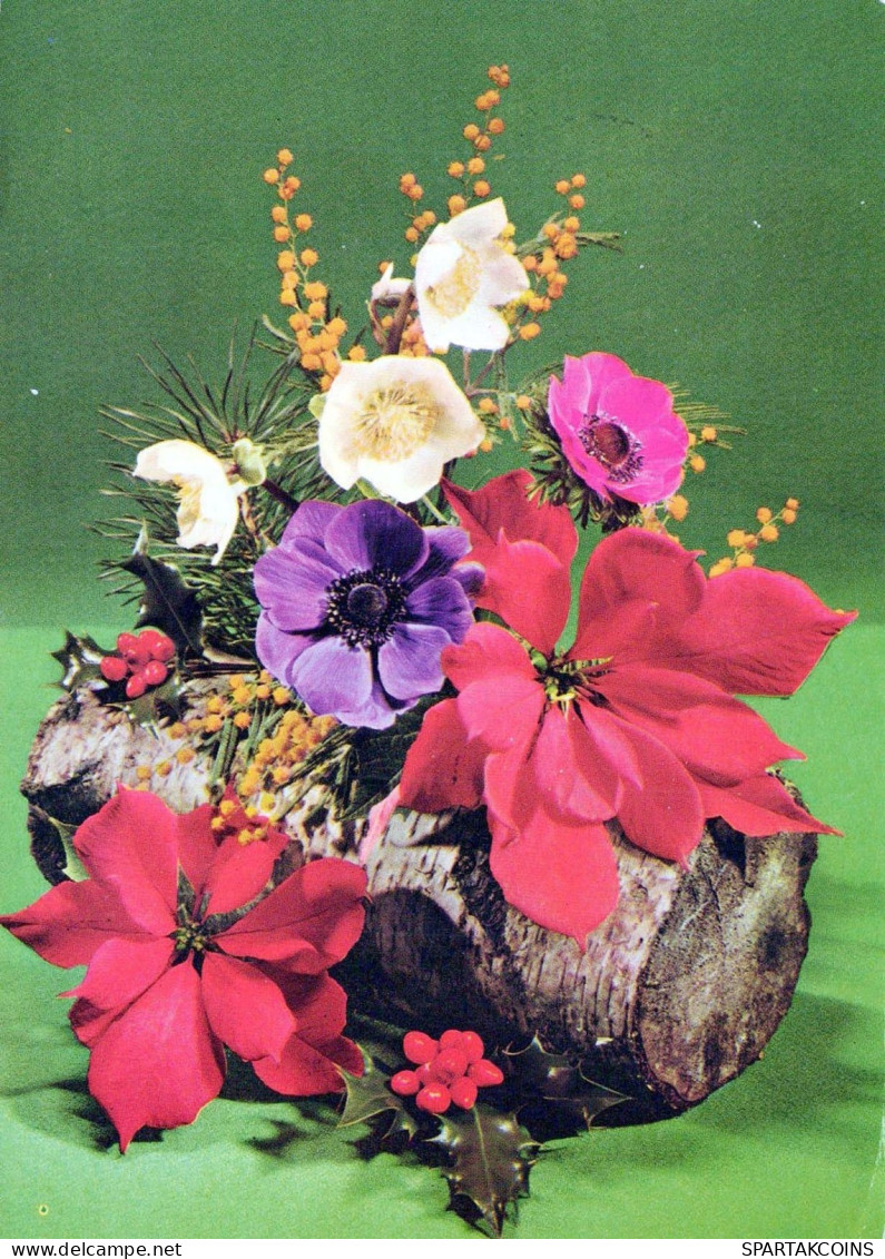 FLEURS Vintage Carte Postale CPSM #PBZ307.FR - Flowers