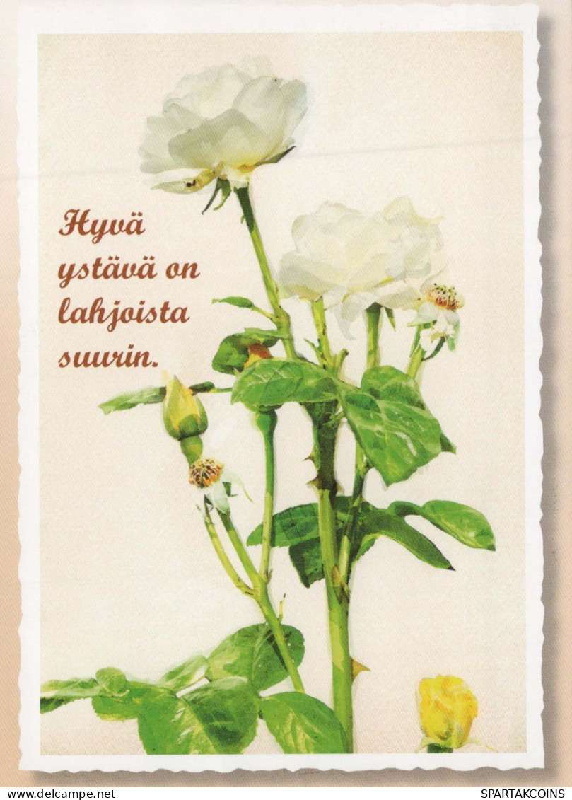 FLEURS Vintage Carte Postale CPSM #PBZ247.FR - Flowers