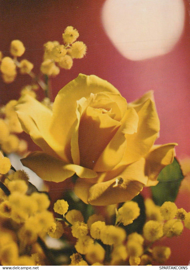 FLEURS Vintage Carte Postale CPSM #PBZ667.FR - Flowers