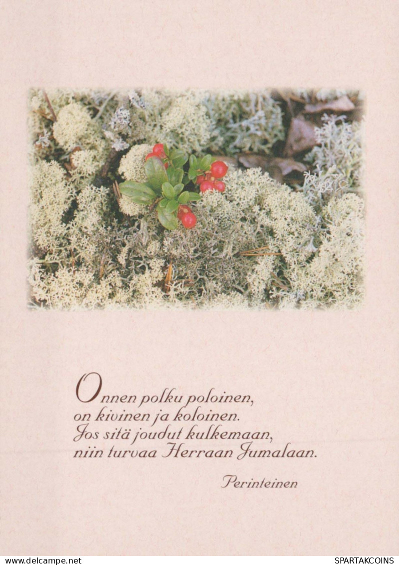 FLEURS Vintage Carte Postale CPSM #PBZ487.FR - Bloemen