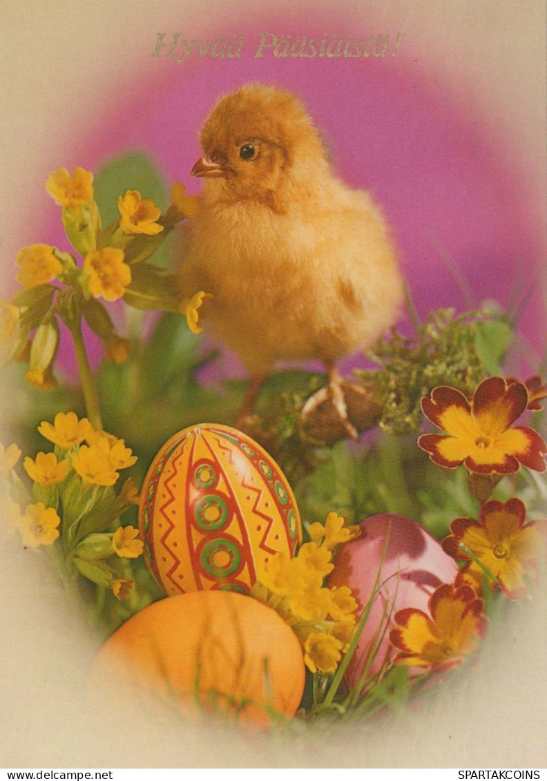 PÂQUES POULET ŒUF Vintage Carte Postale CPSM #PBP155.FR - Easter