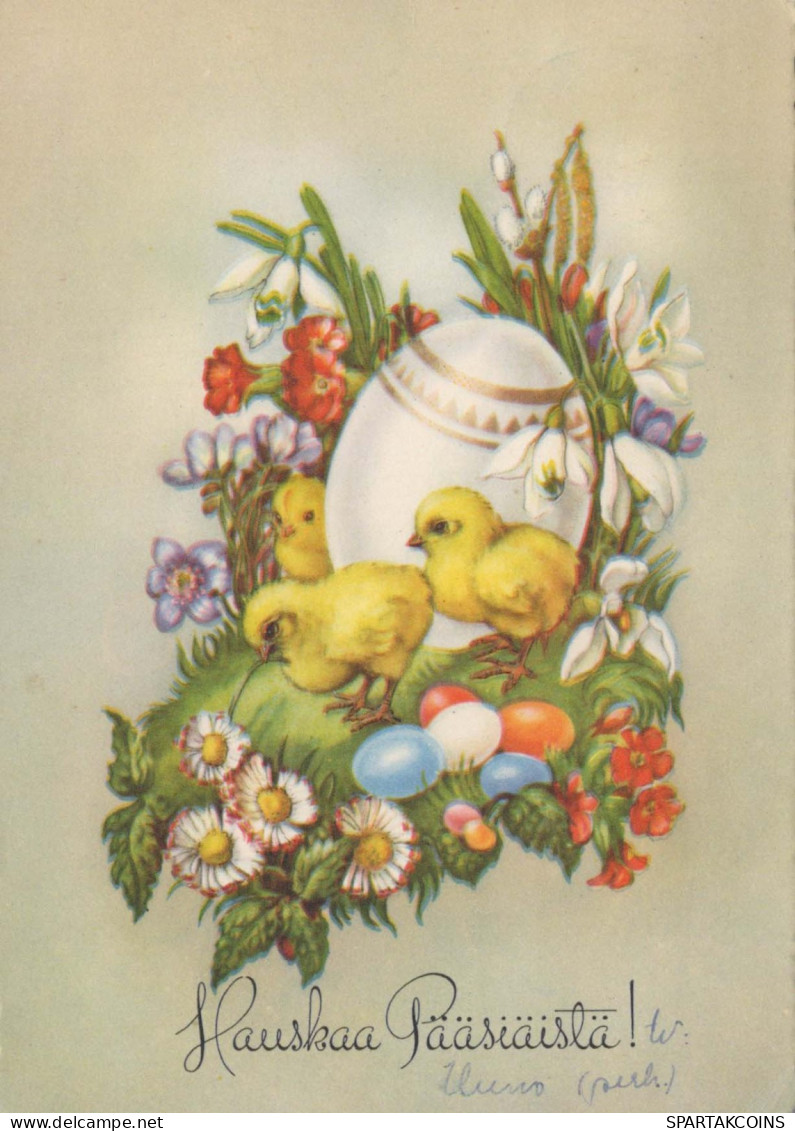 PÂQUES POULET ŒUF Vintage Carte Postale CPSM #PBO591.FR - Easter