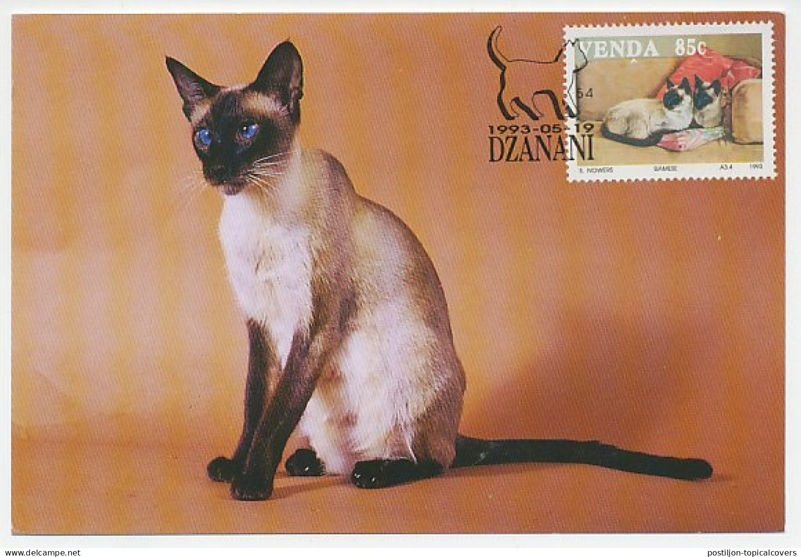 Maximum Card Venda 1993 Cat - Other & Unclassified