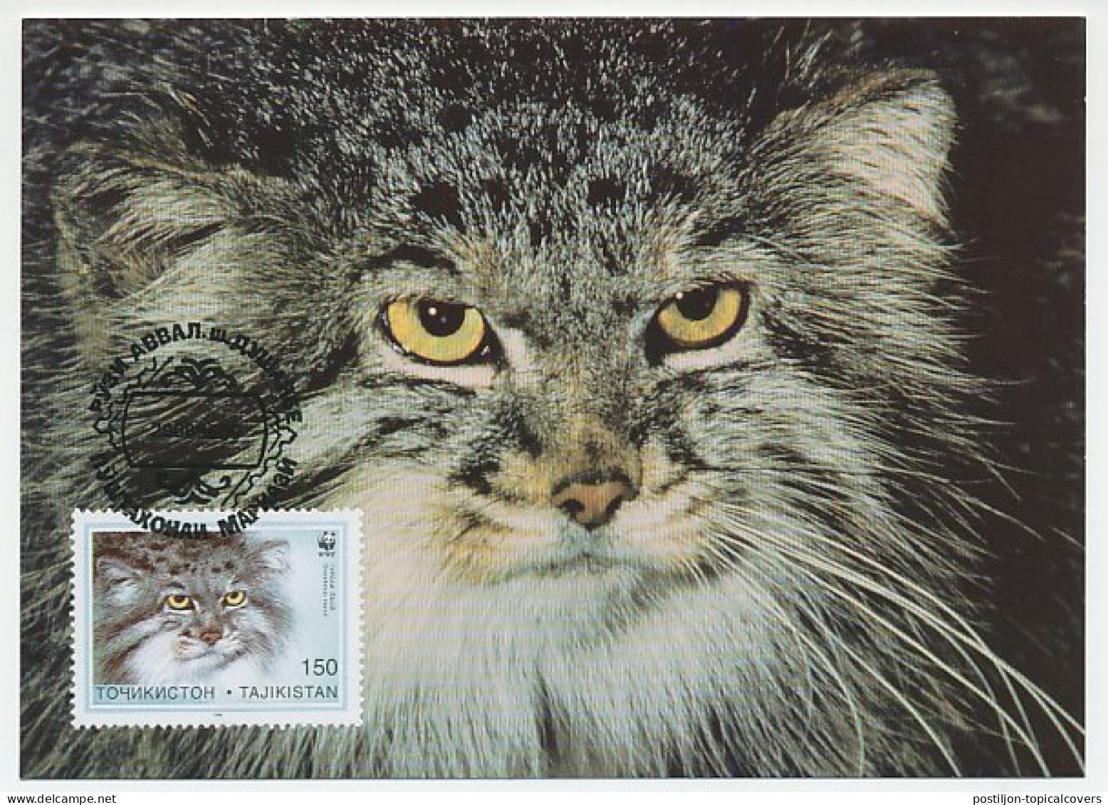 Maximum Card Tajikistan 1986 Wildcat - WWF - Other & Unclassified