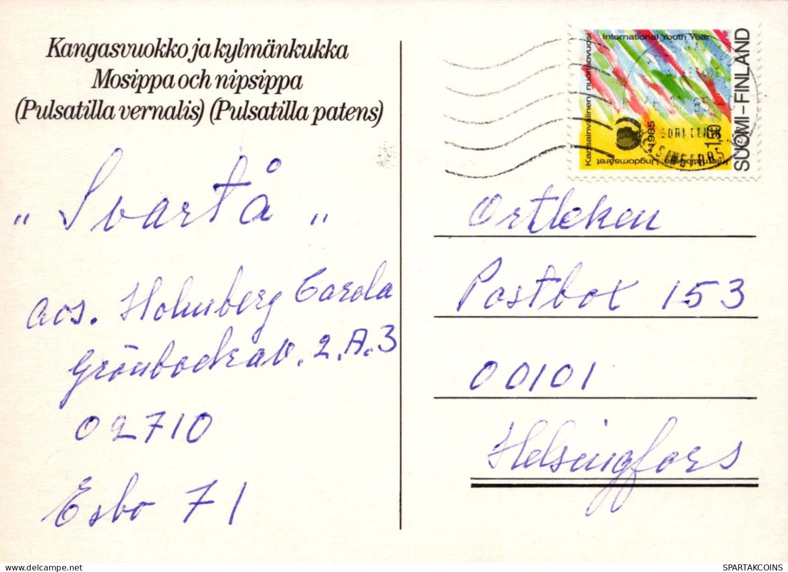 FLEURS Vintage Carte Postale CPSM #PAR839.FR - Flores