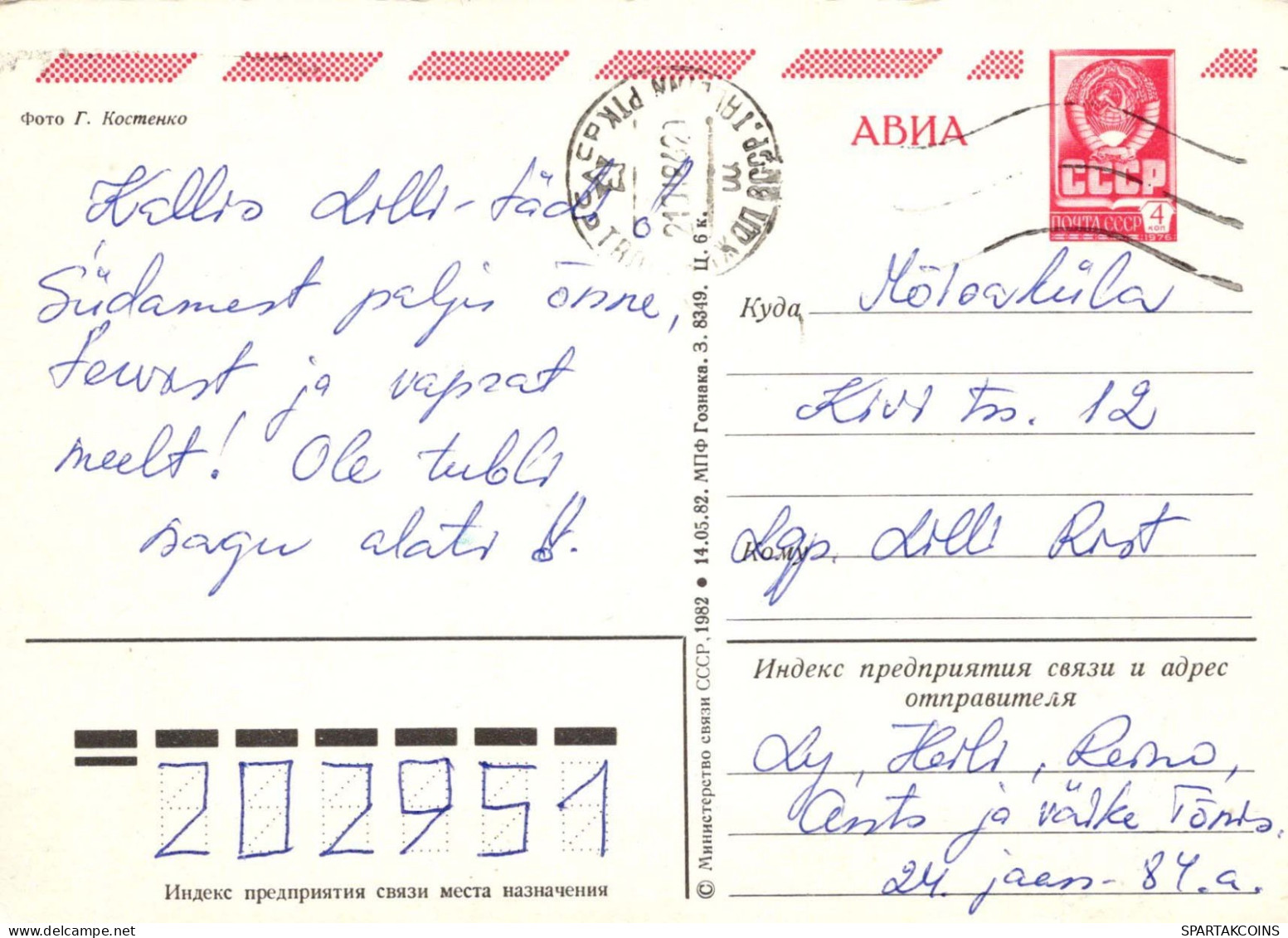 FLEURS Vintage Carte Postale CPSM #PAR359.FR - Flores