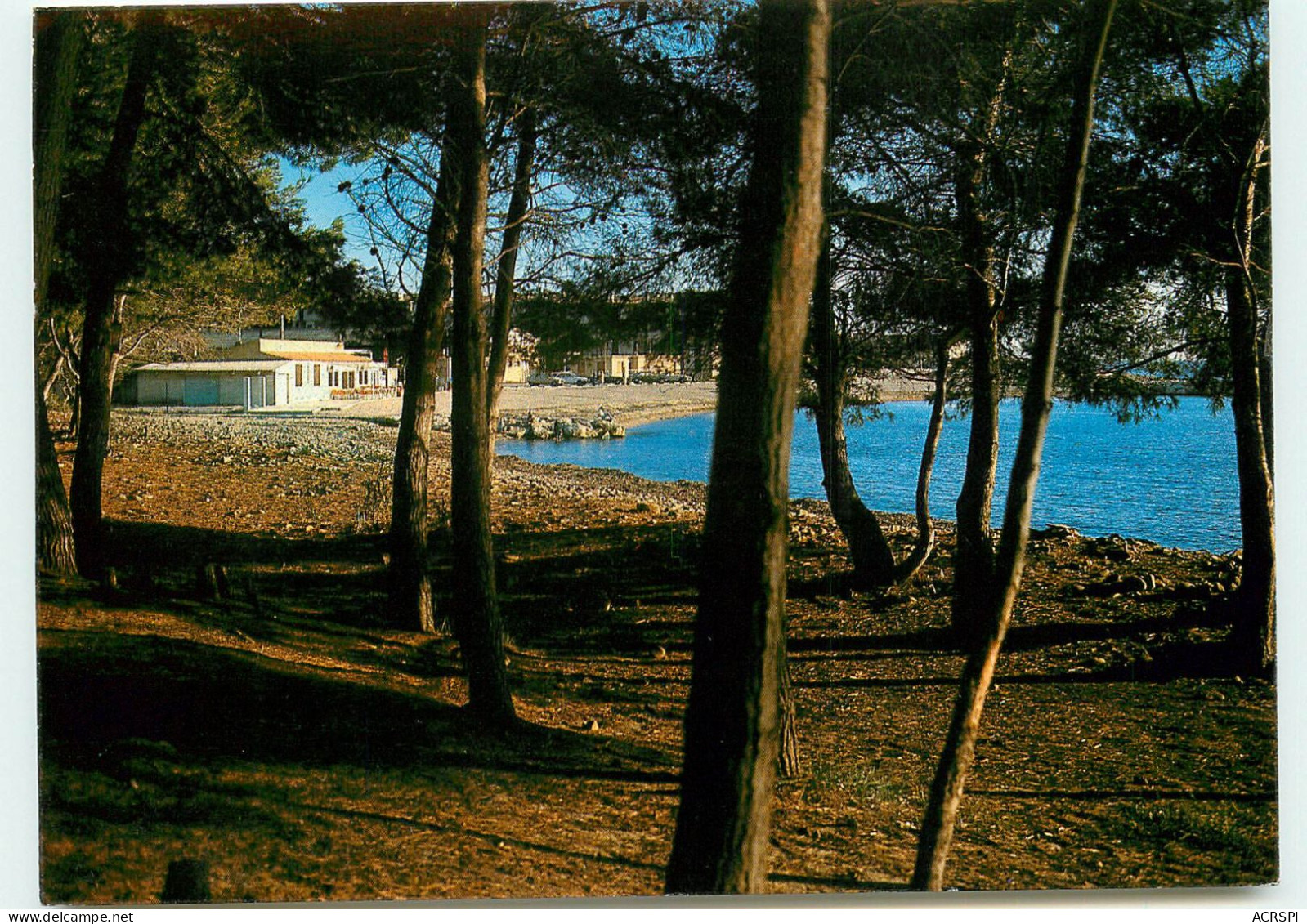 SAINT MANDRIER PIN ROLLAND  La Plage RR 1287 - Saint-Mandrier-sur-Mer