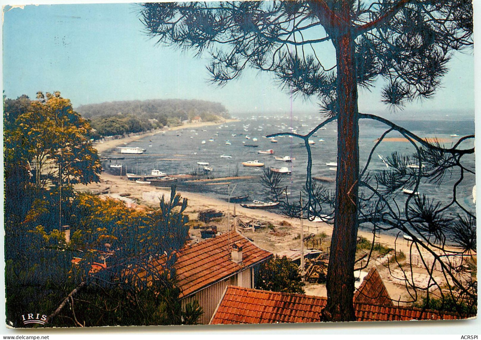 ARCACHON La Pointe Aux Chevaux Grand PIQUEY  RR 1282 - Arcachon