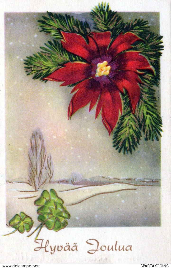 FLOWERS Vintage Postcard CPSMPF #PKG023.GB - Flores