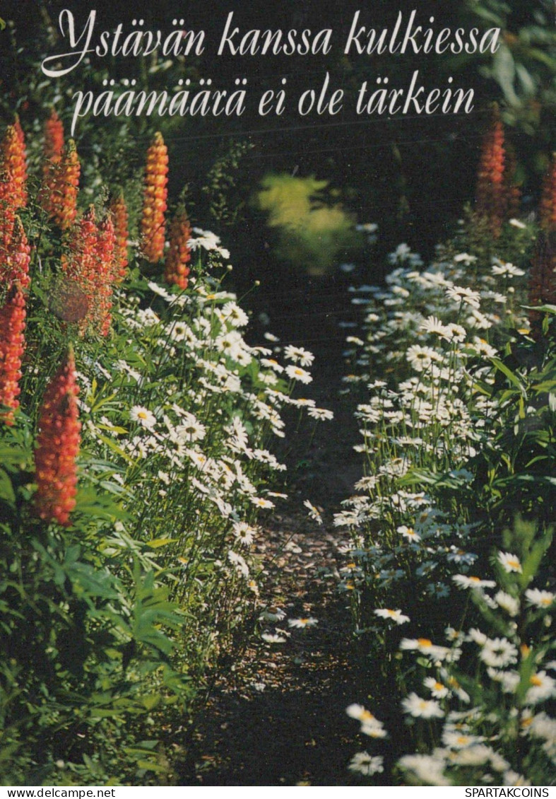 FLOWERS Vintage Postcard CPSM #PBZ909.GB - Fleurs