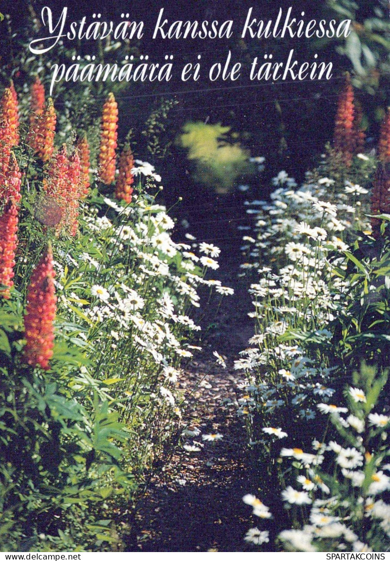 FLOWERS Vintage Postcard CPSM #PBZ909.GB - Flores