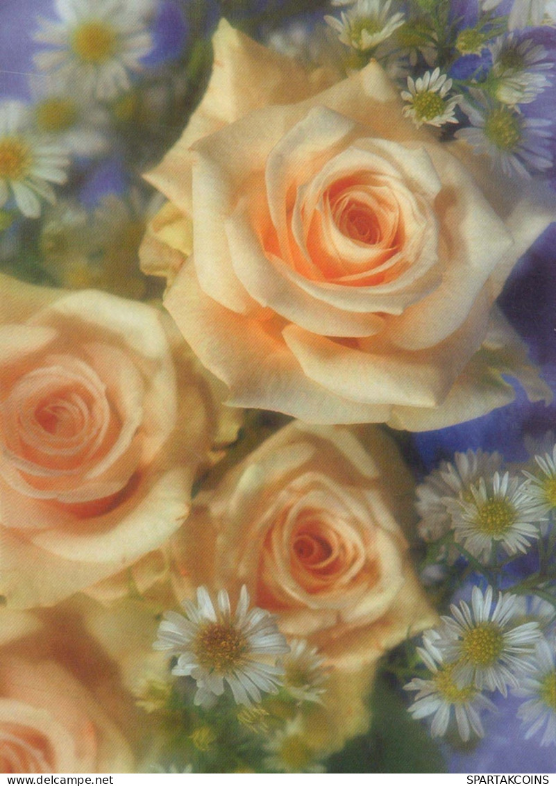 FLOWERS Vintage Postcard CPSM #PBZ425.GB - Flores