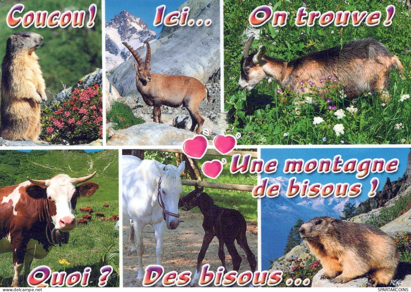 DEER Animals Vintage Postcard CPSM #PBS514.GB - Sonstige & Ohne Zuordnung