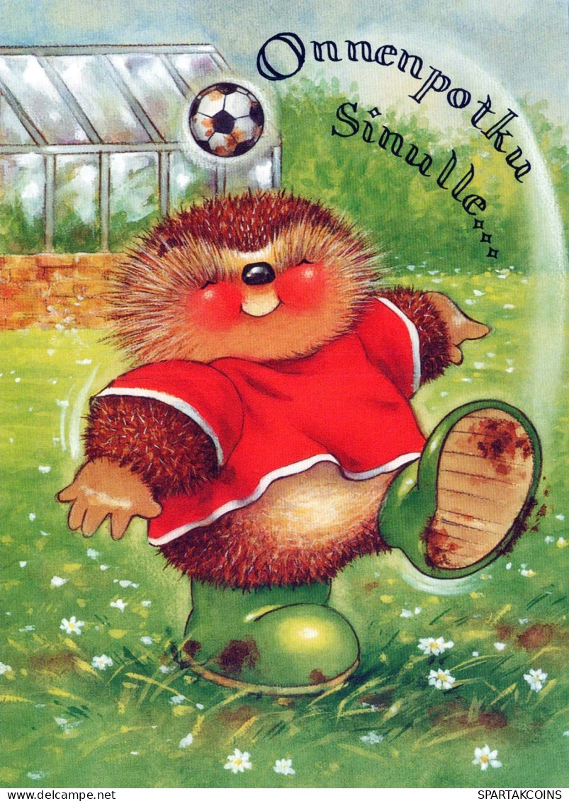 HEDGEHOG Animals Vintage Postcard CPSM #PBR205.GB - Other & Unclassified