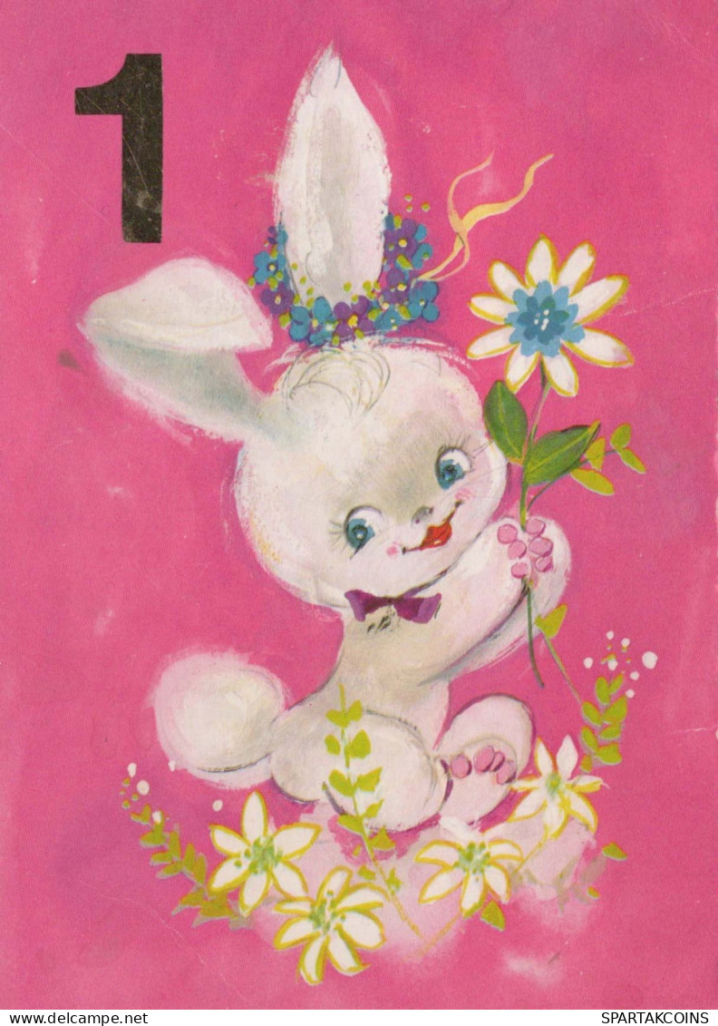 RABBIT Animals Vintage Postcard CPSM #PBR075.GB - Other & Unclassified