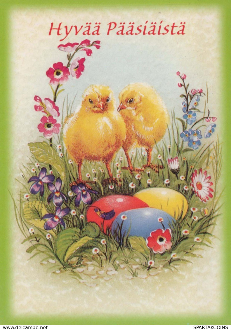 EASTER CHICKEN EGG Vintage Postcard CPSM #PBO712.GB - Pâques