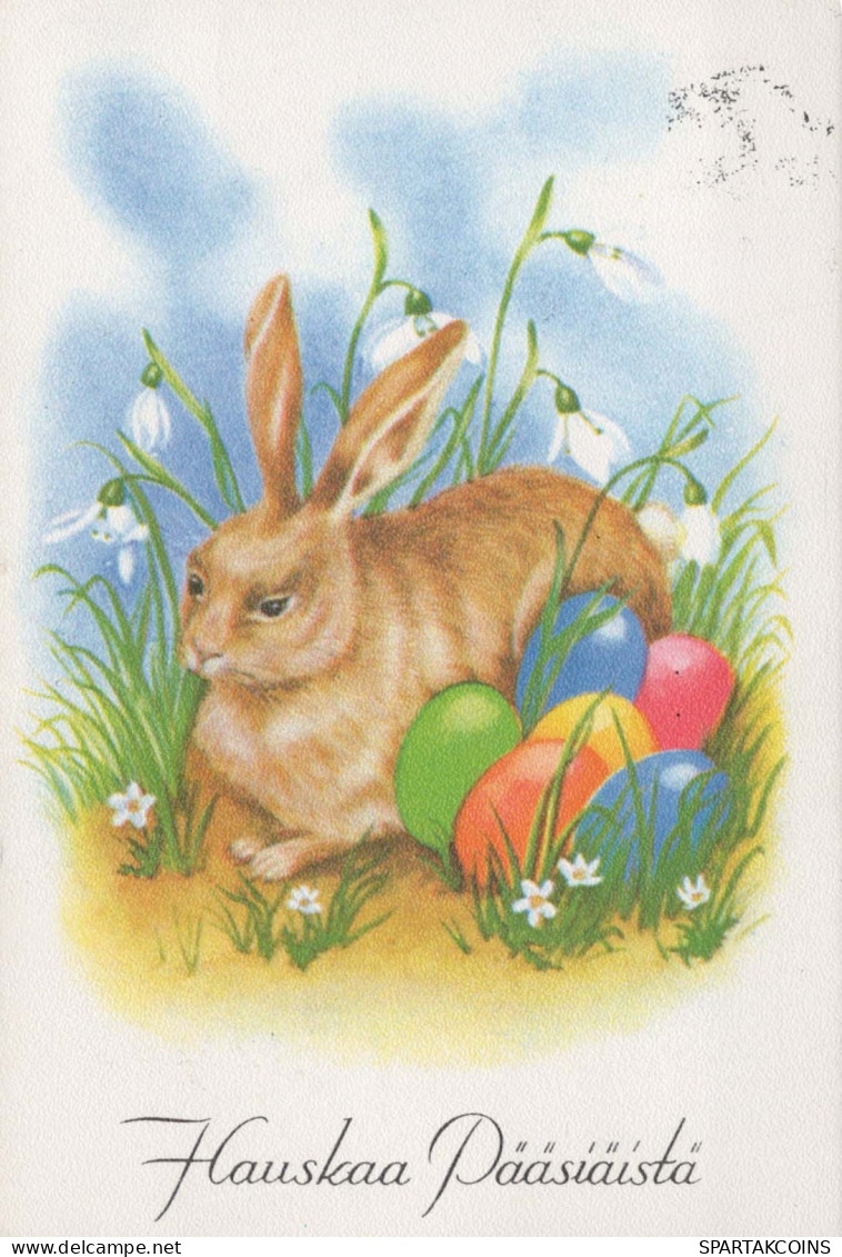 EASTER RABBIT EGG Vintage Postcard CPSM #PBO461.GB - Ostern