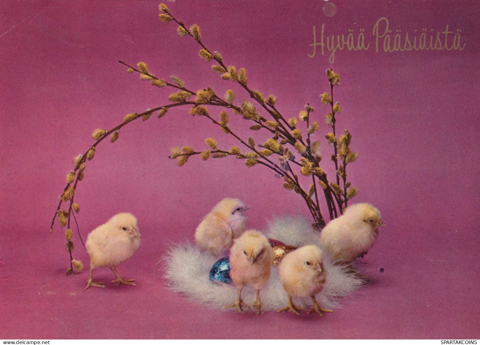 EASTER CHICKEN Vintage Postcard CPSM #PBO963.GB - Ostern