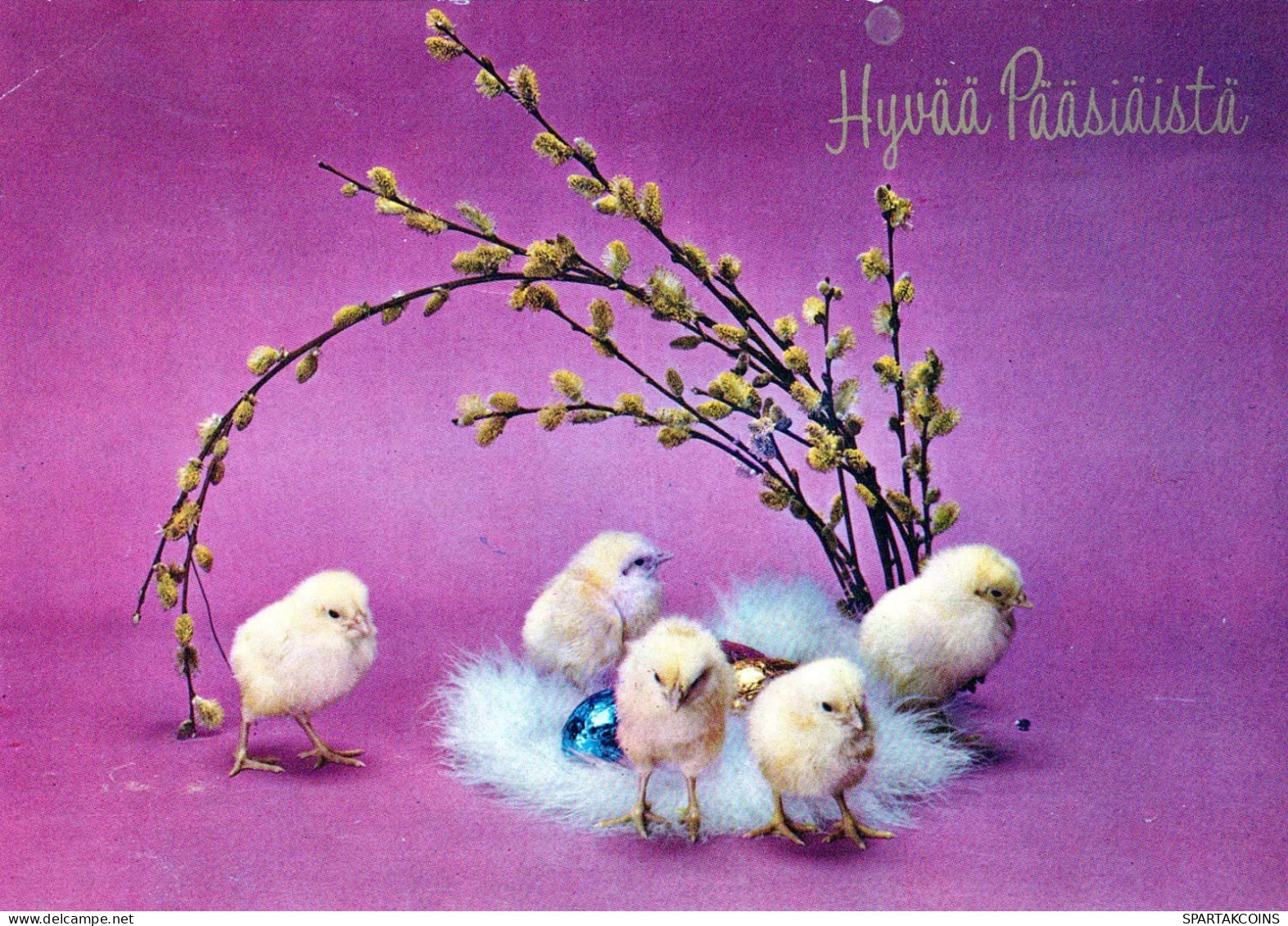 EASTER CHICKEN Vintage Postcard CPSM #PBO963.GB - Pasen