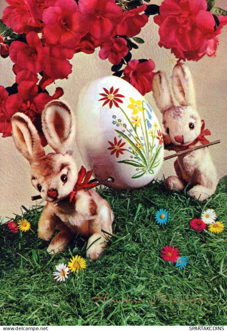 EASTER RABBIT Vintage Postcard CPSM #PBO526.GB - Pasen