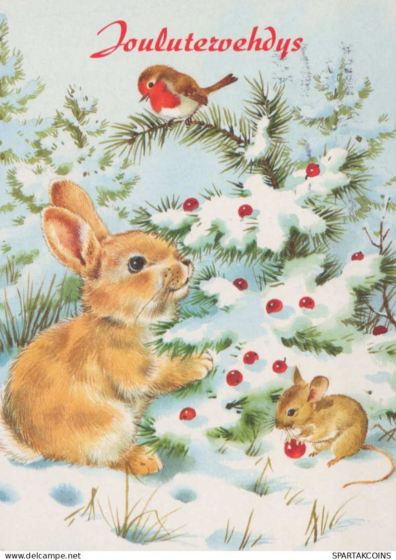 Happy New Year Christmas RABBIT Vintage Postcard CPSM #PAV054.GB - Nouvel An