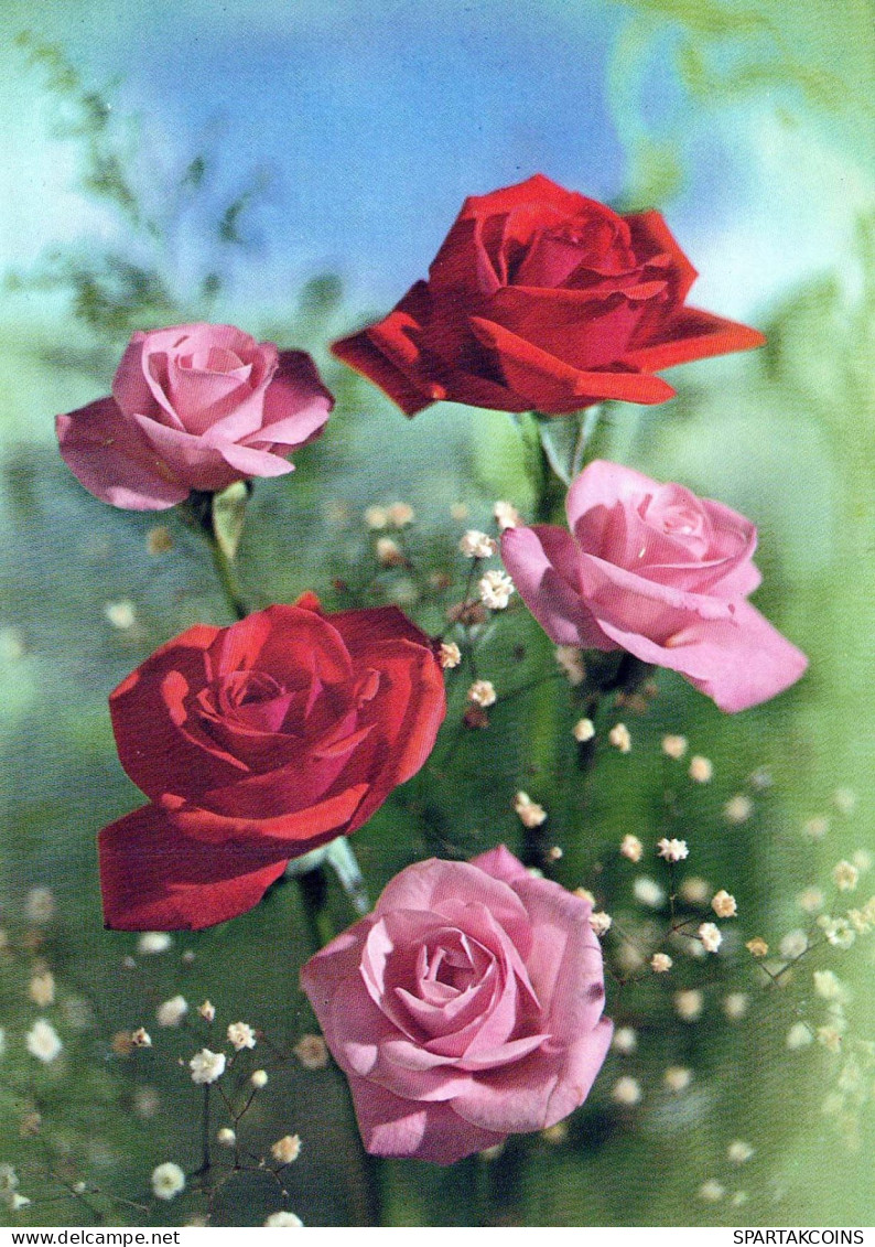 FLOWERS Vintage Postcard CPSM #PAS621.GB - Fleurs