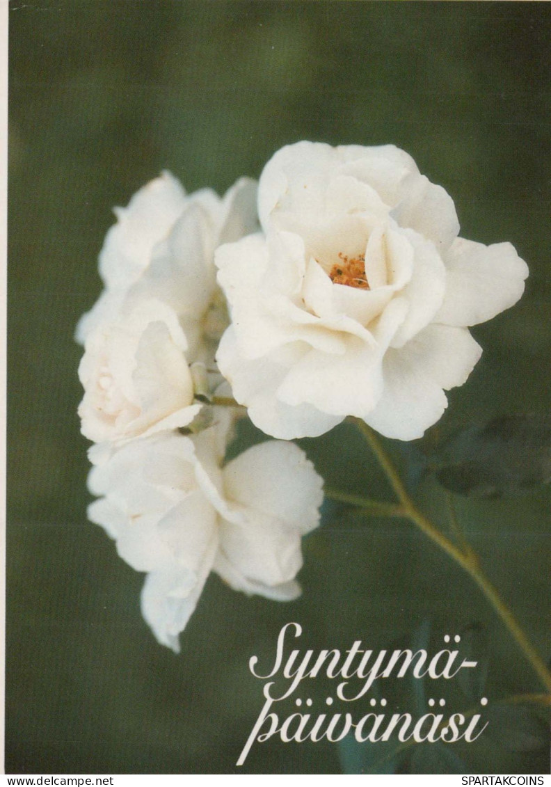 FLOWERS Vintage Postcard CPSM #PAS018.GB - Flores