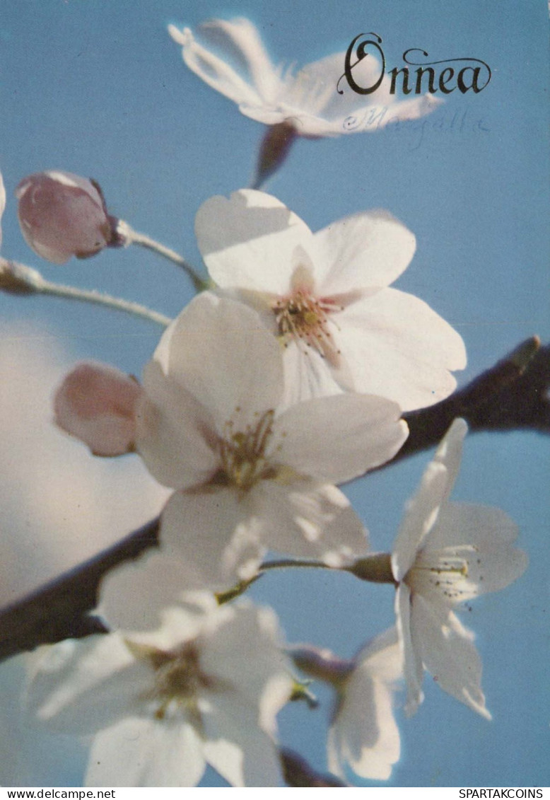 FLOWERS Vintage Postcard CPSM #PAR296.GB - Flores